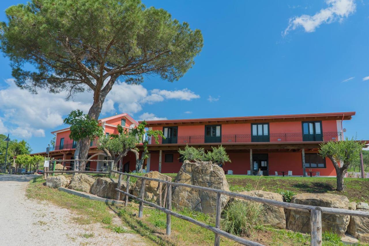 Montecorvino Pugliano Terra Di Vento Bed & Breakfast エクステリア 写真