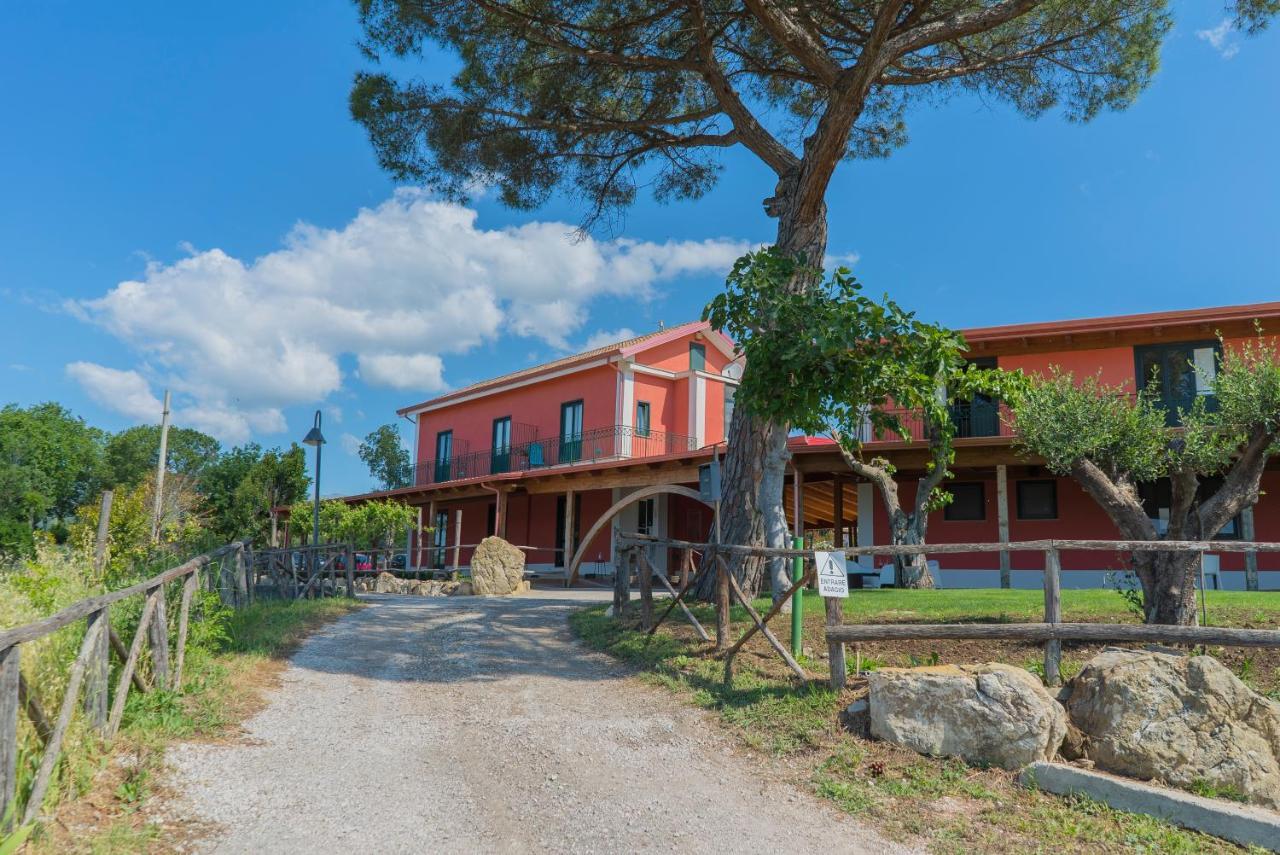 Montecorvino Pugliano Terra Di Vento Bed & Breakfast エクステリア 写真